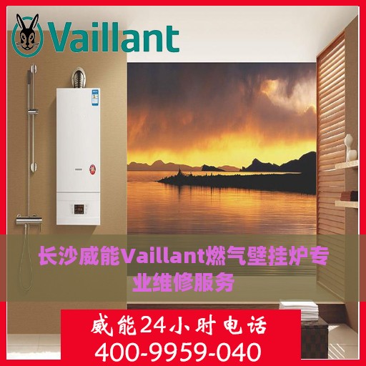 长沙威能Vaillant燃气壁挂炉专业维修服务