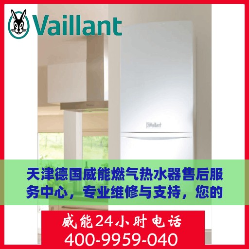 天津德国威能燃气热水器售后服务中心，专业维修与支持，您的安心之选