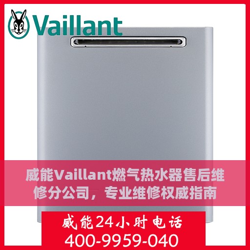 威能Vaillant燃气热水器售后维修分公司，专业维修权威指南