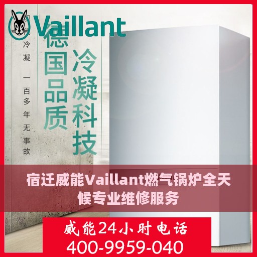 宿迁威能Vaillant燃气锅炉全天候专业维修服务