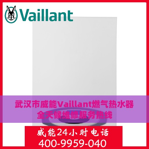 武汉市威能Vaillant燃气热水器全天候维修服务热线