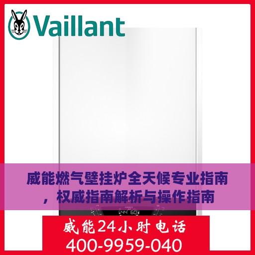 威能燃气壁挂炉全天候专业指南，权威指南解析与操作指南