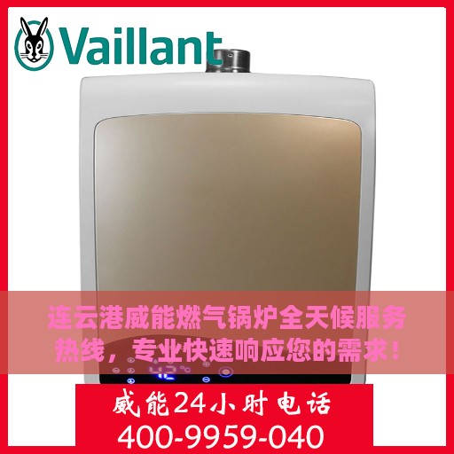 连云港威能燃气锅炉全天候服务热线，专业快速响应您的需求！