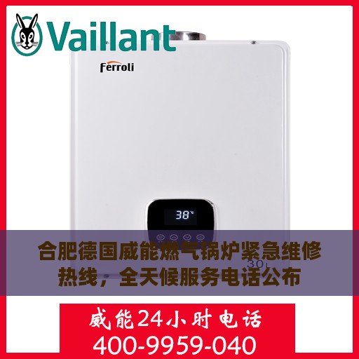 合肥德国威能燃气锅炉紧急维修热线，全天候服务电话公布