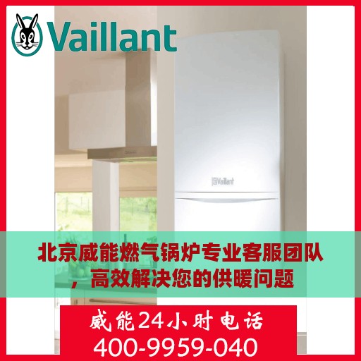 北京威能燃气锅炉专业客服团队，高效解决您的供暖问题
