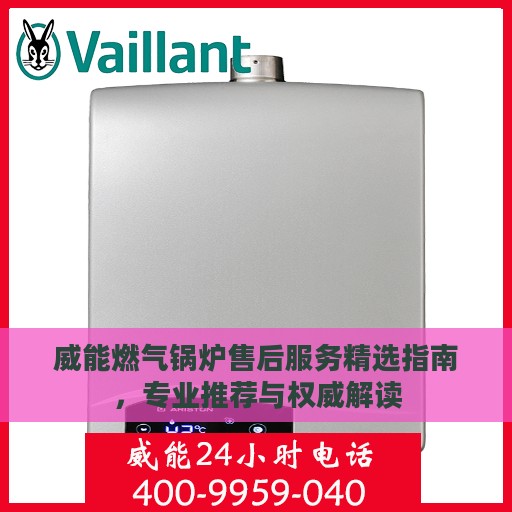 威能燃气锅炉售后服务精选指南，专业推荐与权威解读