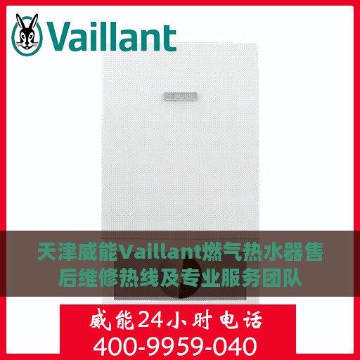 天津威能Vaillant燃气热水器售后维修热线及专业服务团队