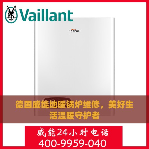 德国威能地暖锅炉维修，美好生活温暖守护者