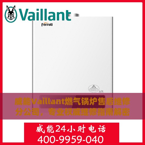 威能Vaillant燃气锅炉售后维修分公司，专业权威维修指南解密