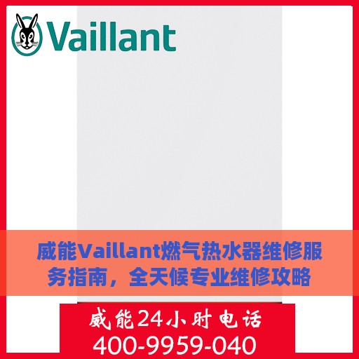 威能Vaillant燃气热水器维修服务指南，全天候专业维修攻略