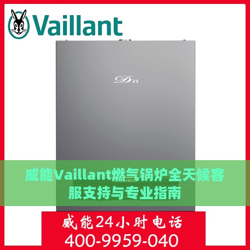 威能Vaillant燃气锅炉全天候客服支持与专业指南