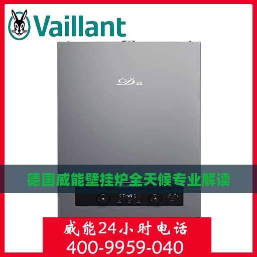 德国威能壁挂炉全天候专业解读