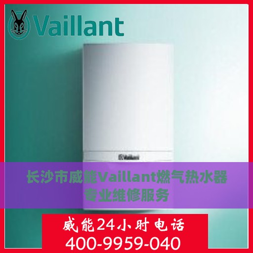 长沙市威能Vaillant燃气热水器专业维修服务