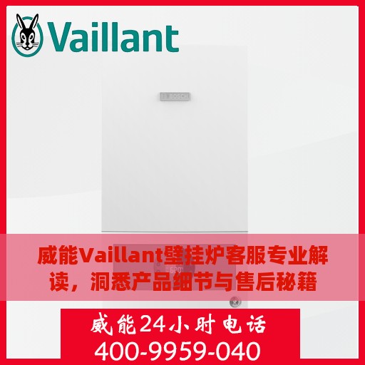 威能Vaillant壁挂炉客服专业解读，洞悉产品细节与售后秘籍