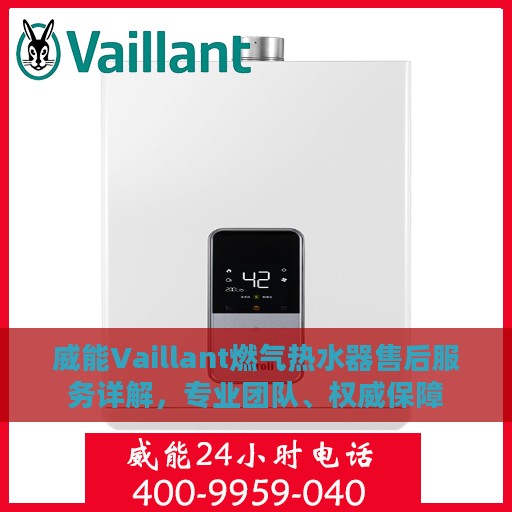 威能Vaillant燃气热水器售后服务详解，专业团队、权威保障