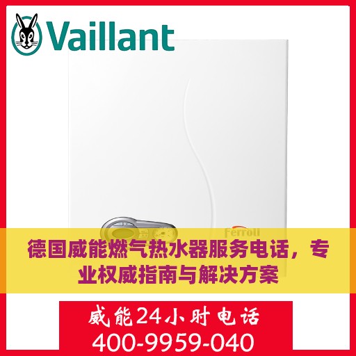 德国威能燃气热水器服务电话，专业权威指南与解决方案