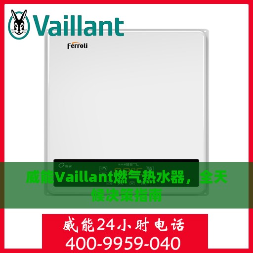 威能Vaillant燃气热水器，全天候决策指南