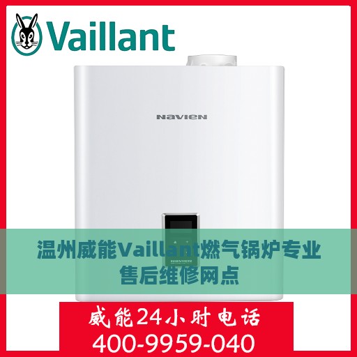 温州威能Vaillant燃气锅炉专业售后维修网点
