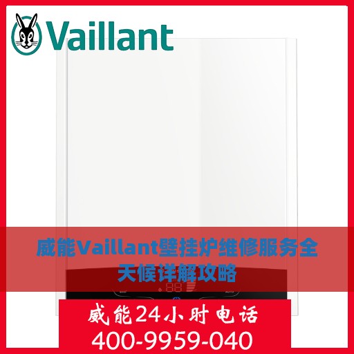 威能Vaillant壁挂炉维修服务全天候详解攻略
