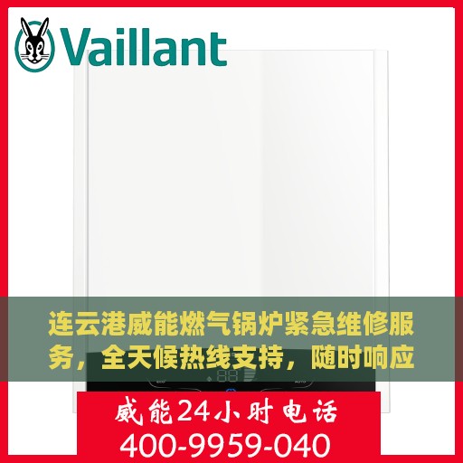 连云港威能燃气锅炉紧急维修服务，全天候热线支持，随时响应！