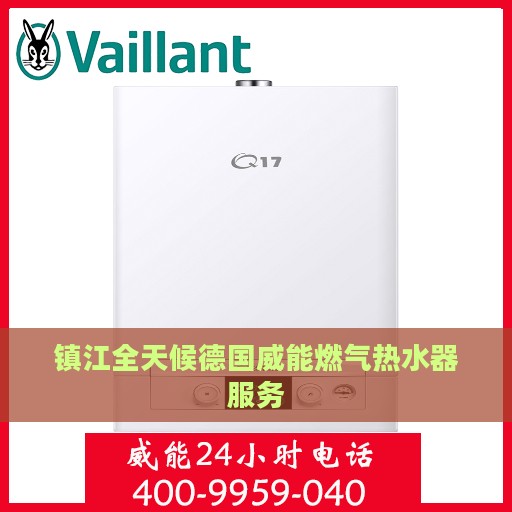 镇江全天候德国威能燃气热水器服务