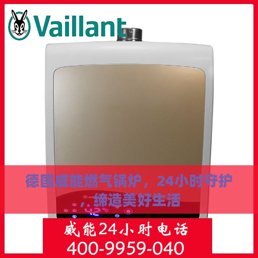 德国威能燃气锅炉，24小时守护，缔造美好生活