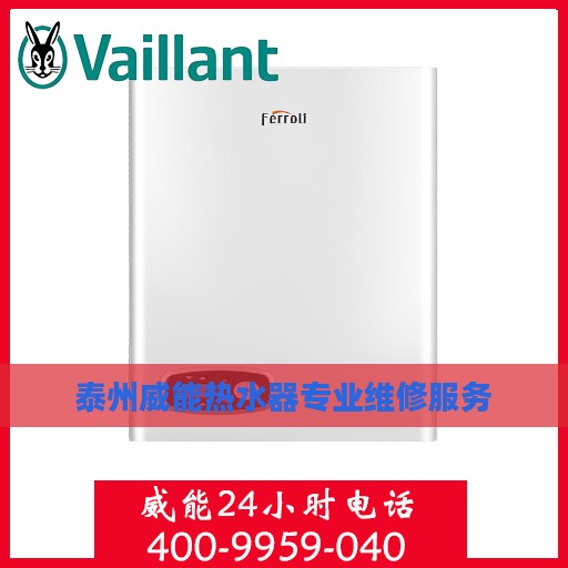 泰州威能热水器专业维修服务