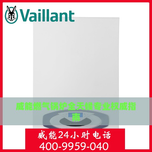 威能燃气锅炉全天候专业权威指南