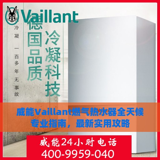 威能Vaillant燃气热水器全天候专业指南，最新实用攻略