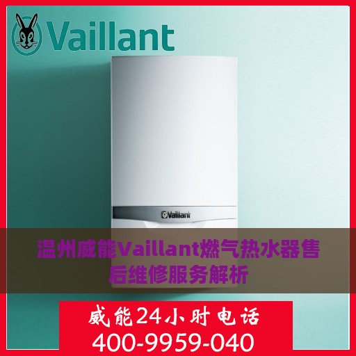温州威能Vaillant燃气热水器售后维修服务解析