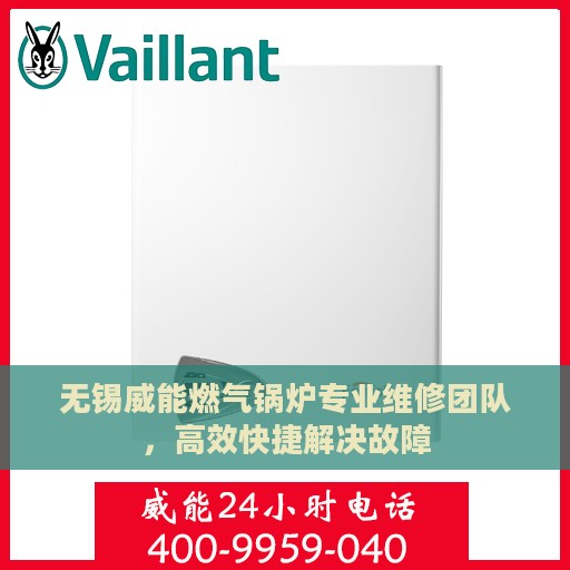 无锡威能燃气锅炉专业维修团队，高效快捷解决故障