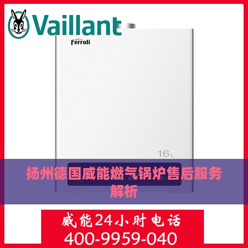 扬州德国威能燃气锅炉售后服务解析