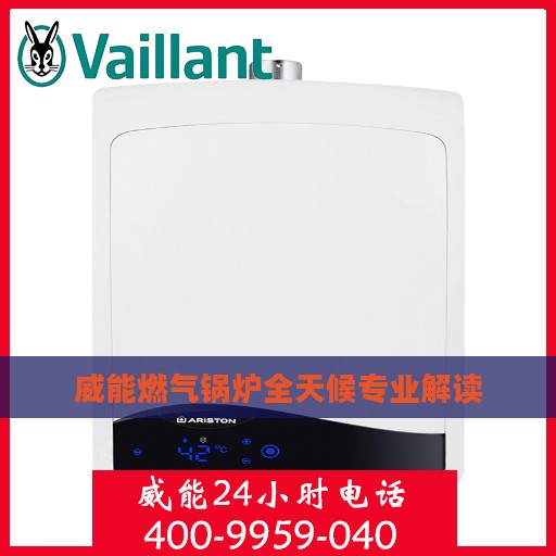 威能燃气锅炉全天候专业解读