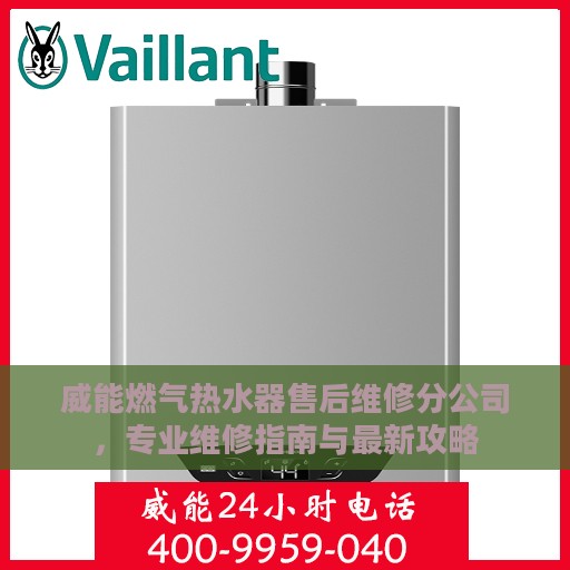 威能燃气热水器售后维修分公司，专业维修指南与最新攻略