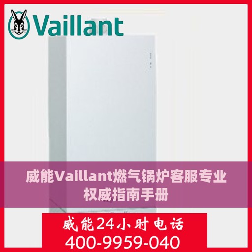 威能Vaillant燃气锅炉客服专业权威指南手册