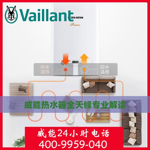 威能热水器全天候专业解读