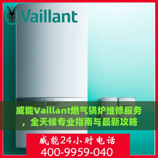 威能Vaillant燃气锅炉维修服务，全天候专业指南与最新攻略