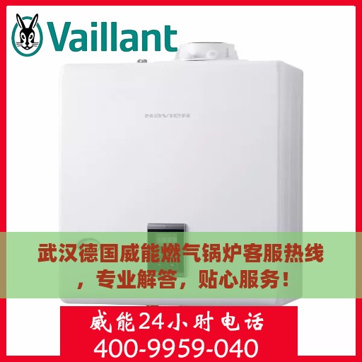 武汉德国威能燃气锅炉客服热线，专业解答，贴心服务！