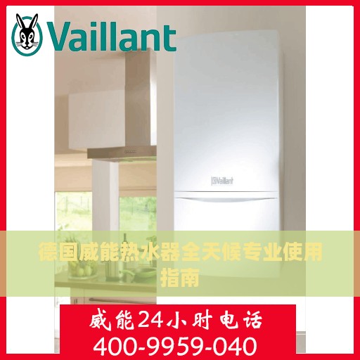 德国威能热水器全天候专业使用指南