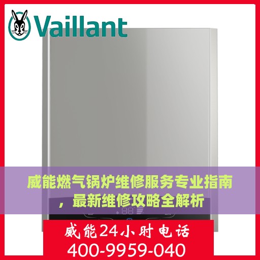 威能燃气锅炉维修服务专业指南，最新维修攻略全解析