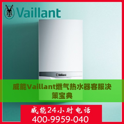 威能Vaillant燃气热水器客服决策宝典