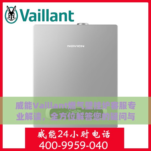 威能Vaillant燃气壁挂炉客服专业解读，全方位解答您的疑问与需求