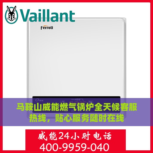 马鞍山威能燃气锅炉全天候客服热线，贴心服务随时在线