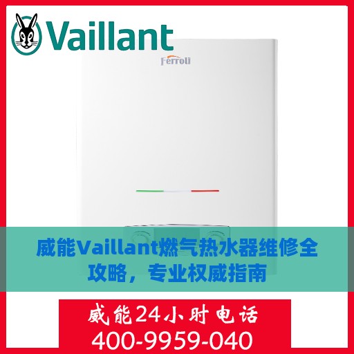 威能Vaillant燃气热水器维修全攻略，专业权威指南