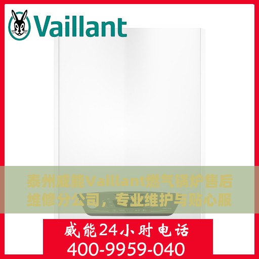 泰州威能Vaillant燃气锅炉售后维修分公司，专业维护与贴心服务