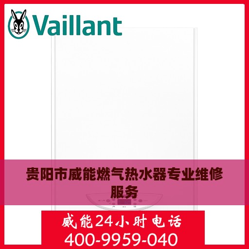 贵阳市威能燃气热水器专业维修服务
