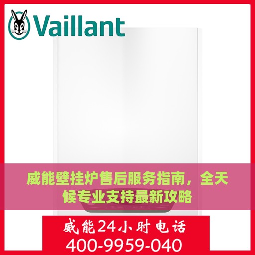 威能壁挂炉售后服务指南，全天候专业支持最新攻略