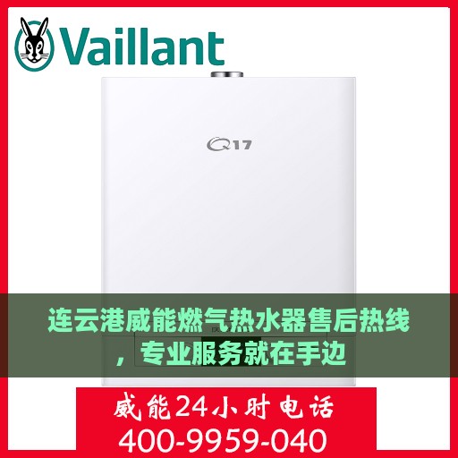 连云港威能燃气热水器售后热线，专业服务就在手边