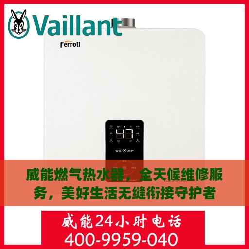 威能燃气热水器，全天候维修服务，美好生活无缝衔接守护者