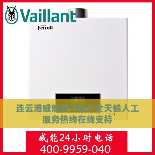 连云港威能燃气锅炉全天候人工服务热线在线支持